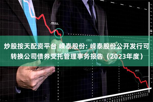 炒股按天配资平台 嵘泰股份: 嵘泰股份公开发行可转换公司债券受托管理事务报告(2023年度)