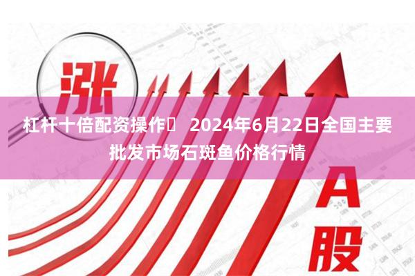 杠杆十倍配资操作	 2024年6月22日全国主要批发市场石斑鱼价格行情