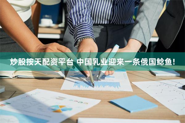 炒股按天配资平台 中国乳业迎来一条俄国鲶鱼!