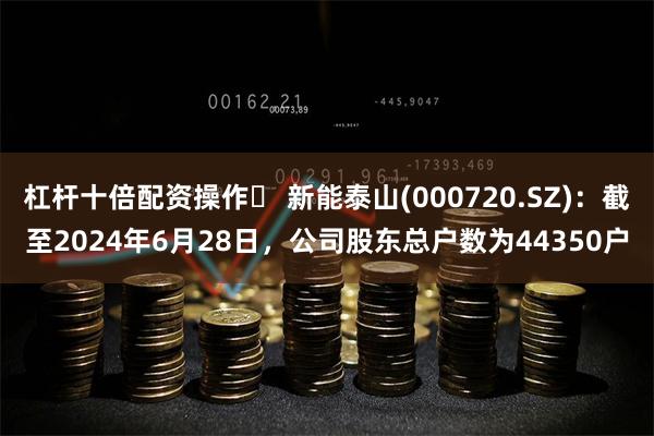 杠杆十倍配资操作	 新能泰山(000720.SZ)：截至2024年6月28日，公司股东总户数为44350户